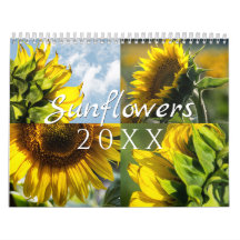 Sunflower Wall Calendar - 12 Photo Collection