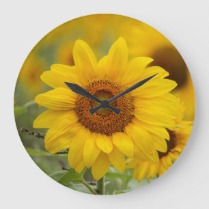 Sunflower Wall Clock
