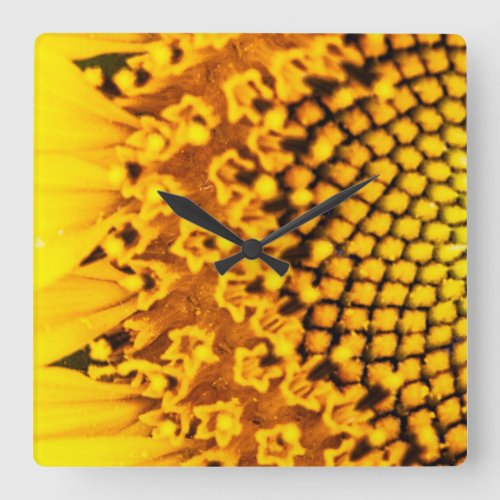 Sunflower Wall Clock Square