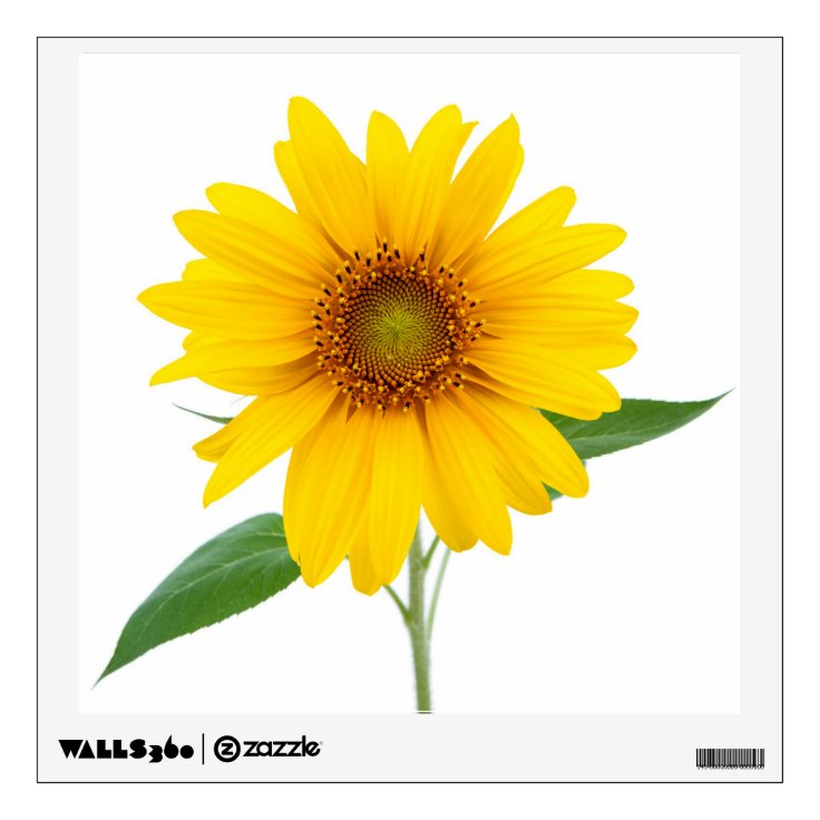 Sunflower Wall Decal Zazzle