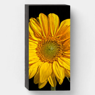 Sunflower wbs8x4cnm wooden box sign