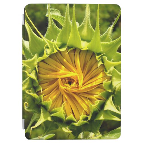 Sunflower whirl iPad air cover
