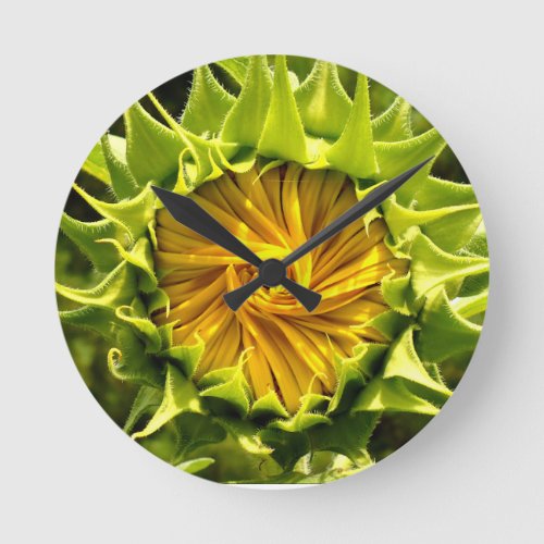 Sunflower Whirl Round Clock