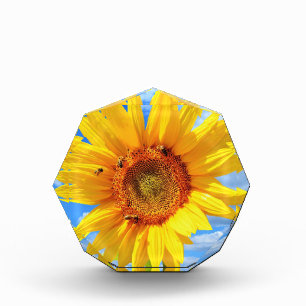 Sunflower with Bees Desk Accessories Photo Block