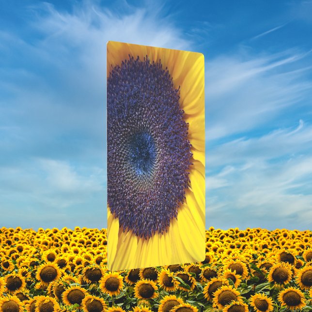 Sunflower with Blue Center Closeup Metal Art (Creator Uploaded)