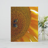 Sunflower with Bumblebees (Standing Front)