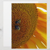 Sunflower with Bumblebees (Front/Back)