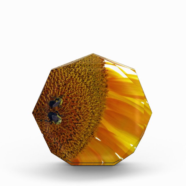 Sunflower with Bumblebees Acrylic Award (Front)