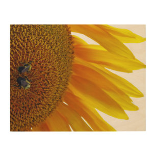 Sunflower with Bumblebees Wood Wall Decor