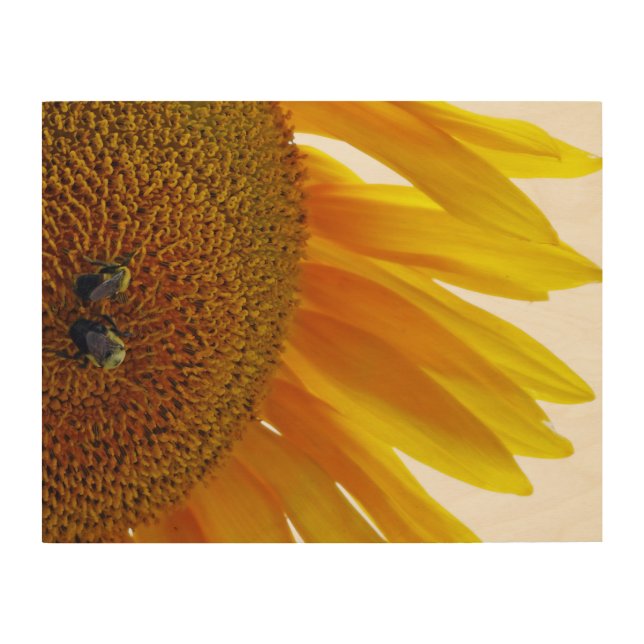 Sunflower with Bumblebees Wood Wall Decor (Front)