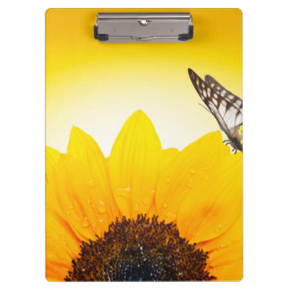 Sunflower with butterfly clipboard