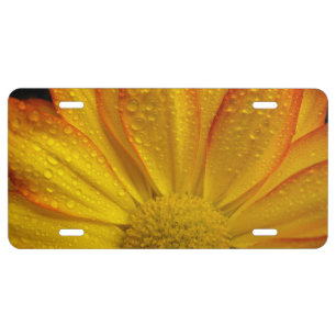 Sunflower with Dew Drops License Plate