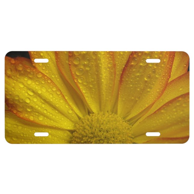 Sunflower with Dew Drops License Plate (Front)