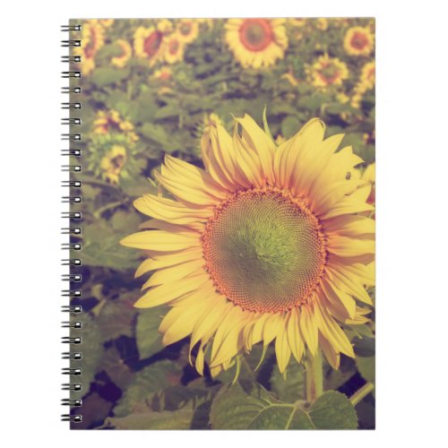 Sunflower with filter effect retro vintage styleag notebook