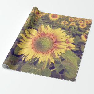 Sunflower with filter effect retro vintage styleag wrapping paper