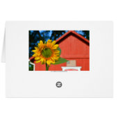 Sunflower With Honeybee Blank Card (Back Horizontal)