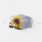 Sunflower with I can do all things through Christ