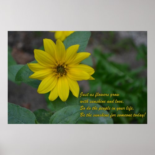 Sunflower with Inspirational Quote Poster