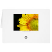 Sunflower With Red Barn Cards (Back Horizontal)