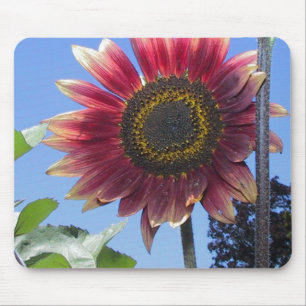 Sunflower with Unique Red Leaves Mouse Pad