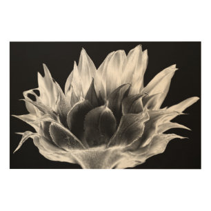 Sunflower Wood Wall Art