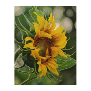 Sunflower Wood Wall Decor