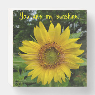 Sunflower Wooden Box Sign