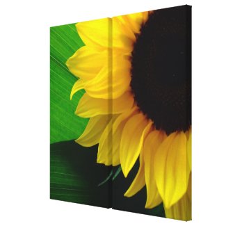 Sunflower Wrapped Canvas