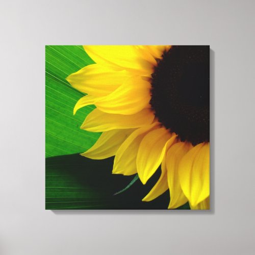 Sunflower Wrapped Canvas