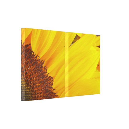 Sunflower Wrapped Canvas