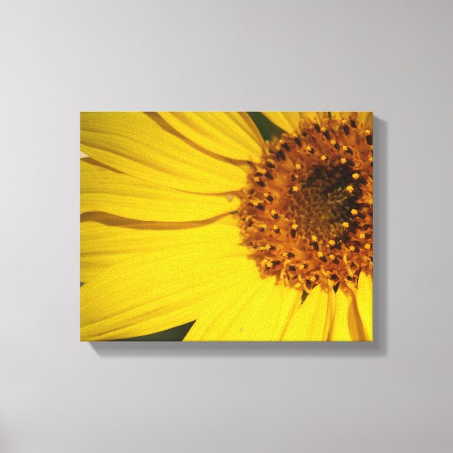 Sunflower  Wrapped Canvas Print (Front)