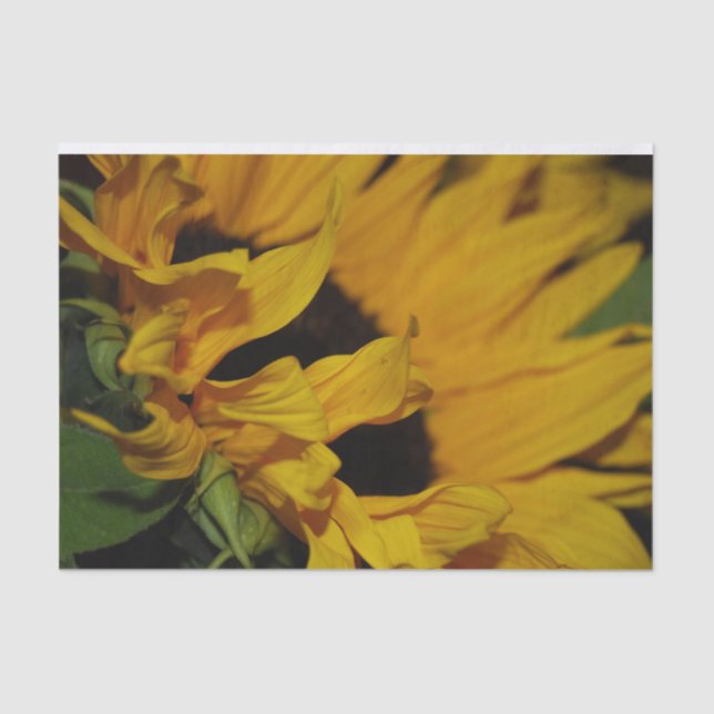 Sunflower Wrapping Paper (Front)
