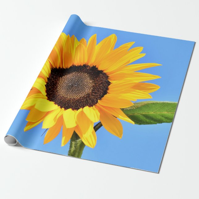 Sunflower Wrapping Paper (Unrolled)