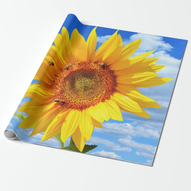 Sunflower Wrapping Paper (Unrolled)
