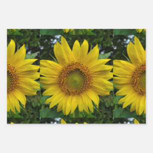 Sunflower Wrapping Paper Sheets