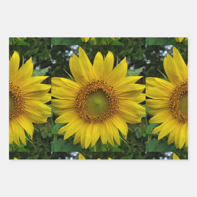 Sunflower Wrapping Paper Sheets (Front)