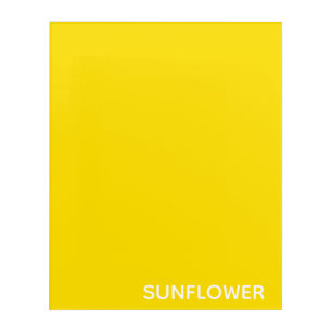 Sunflower Yellow Colour Name Acrylic Print