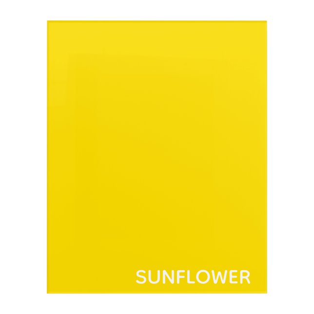 Sunflower Yellow Colour Name Acrylic Print (Front)