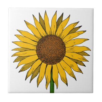 Sunflower Yellow Flower Ceramic Tile by YLGraphics at Zazzle