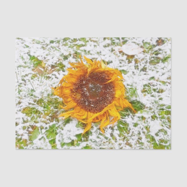 Sunflower Yellow In Winter Snow Decoupage Tissue Paper (Front)
