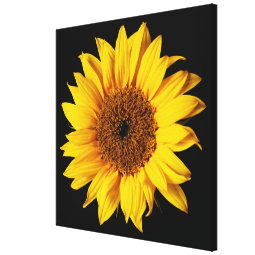 Sunflower Yellow on Black - Customized Sun Flowers Canvas Print | Zazzle