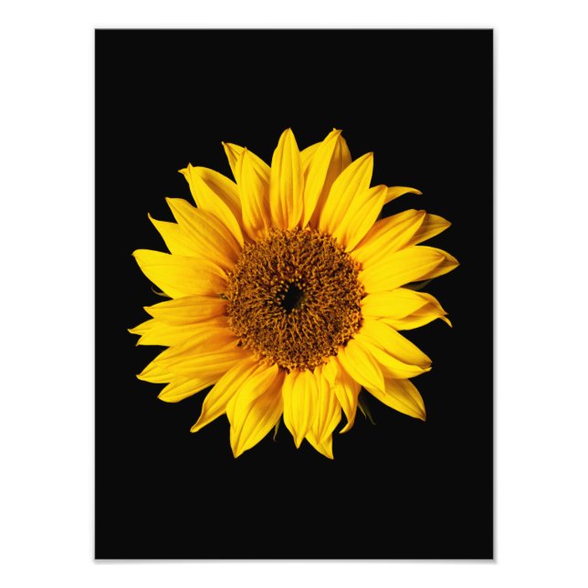 Sunflower Yellow on Black - Customized Sun Flowers Photo Print (Front)