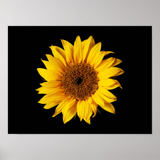 Sunflower Yellow on Black - Customized Sun Flowers Poster (Front)
