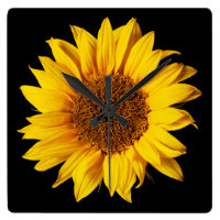 Sunflower Yellow on Black - Customized Sun Flowers Square Wall Clock
