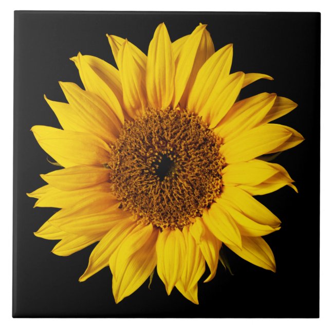 Sunflower Yellow on Black - Customized Sun Flowers Tile (Front)