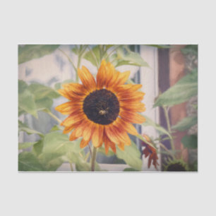 Sunflower Yellow Orange Bee Garden Decoupage Tissue Paper