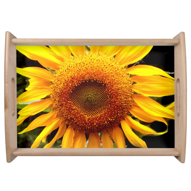 Sunflower, yellow orange flower serving tray (Front)