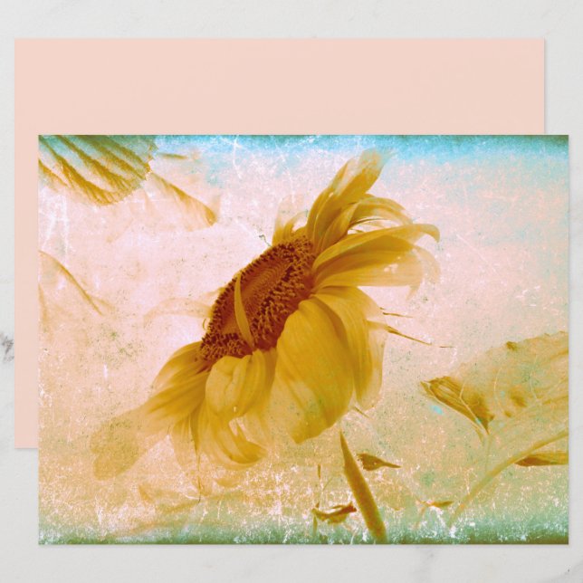 Sunflower Yellow Sepia Vintage Antique Texture (Front/Back)