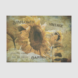 Sunflower Yellow Vintage Texture Ephemera Tissue Paper