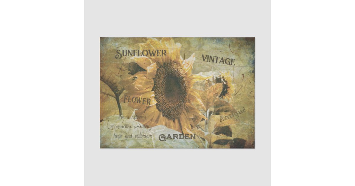 Sunflower Yellow Vintage Texture Ephemera Tissue Paper | Zazzle